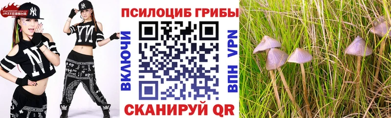 Галлюциногенные грибы GOLDEN TEACHER Верхняя Тура